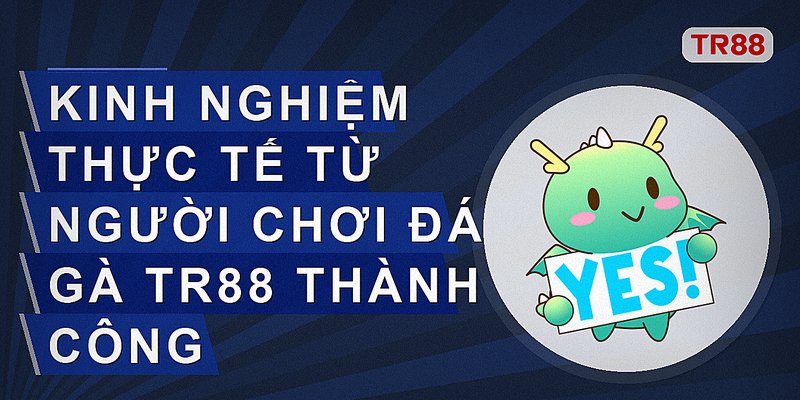 Kinh nghiệm thực tế từ người chơi đá gà Tr88 thành công